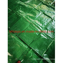 Waterproof Nice Green PE Tarpaulin Shelter